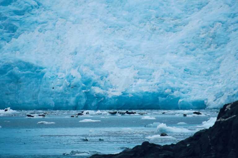 🧊 10 Astonishing Facts About Ice, Water, and Nature’s Power